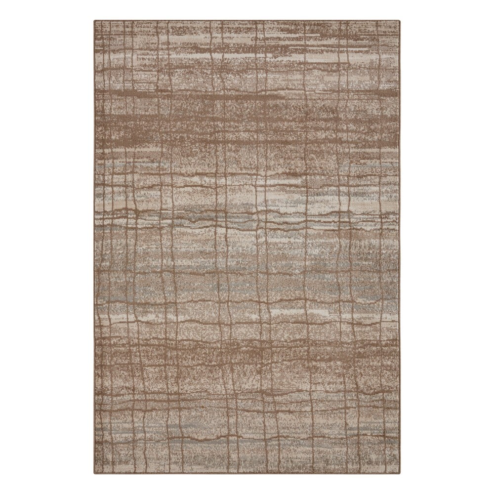 Barna-bézs szőnyeg 160x235 cm Terrain – Hanse Home