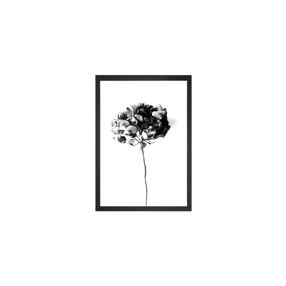 Kép 24x29 cm Velvet Flower – Vavien Artwork