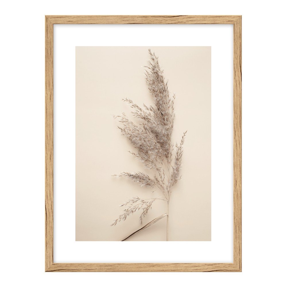Kép 30x40 cm Grass – knor