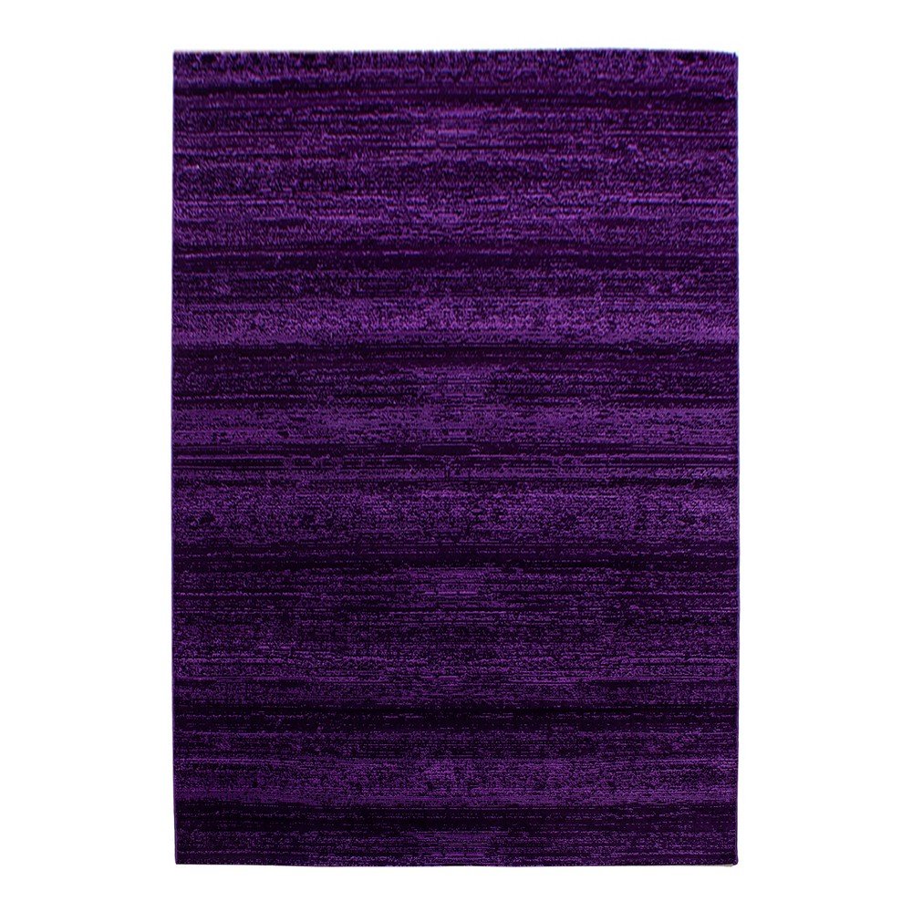 Sötétlila szőnyeg 120x170 cm Plus – Ayyildiz Carpets