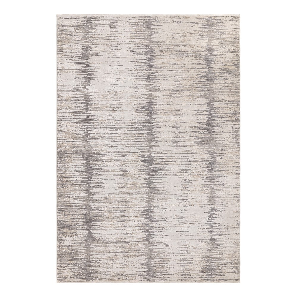 Szőnyeg 200x300 cm Anders Grey – Asiatic Carpets